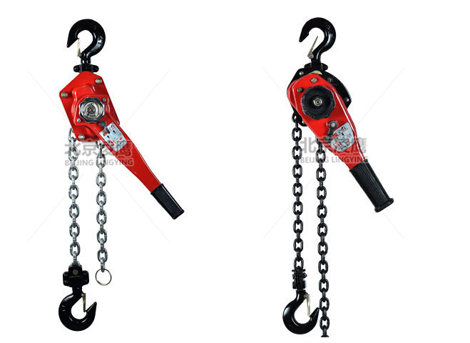 美女黄频下载手扳美女搞鸡软件